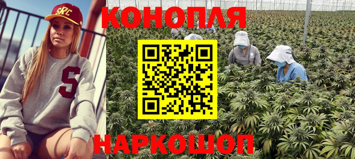 Бошки Шишки MAZAR  Каннабис сатива  Шелехов  Марихуана конопля  Вход с VPN  Каннабис конопля 